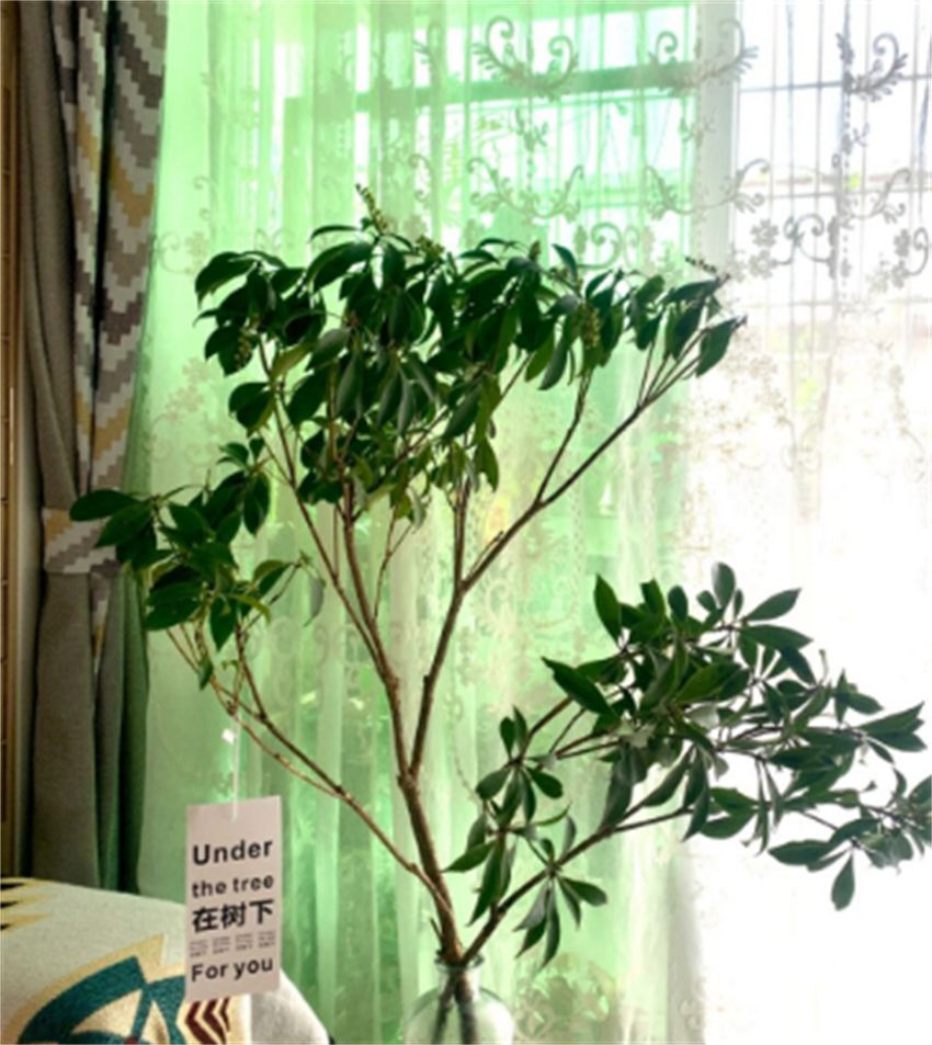 这8件“网红”家居用品买前“真香”,用后发觉:小丑竟是我!