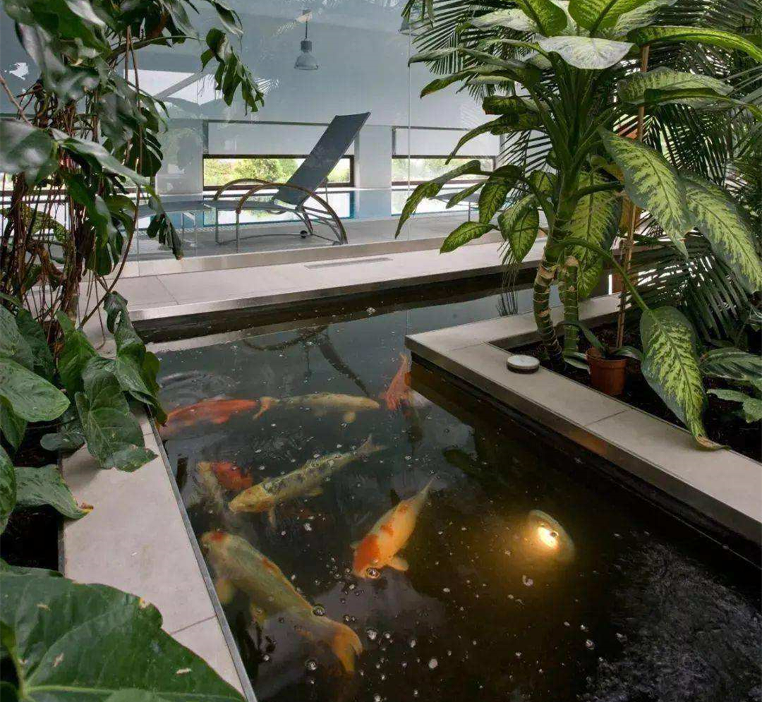 一次误判让我至今记忆犹新