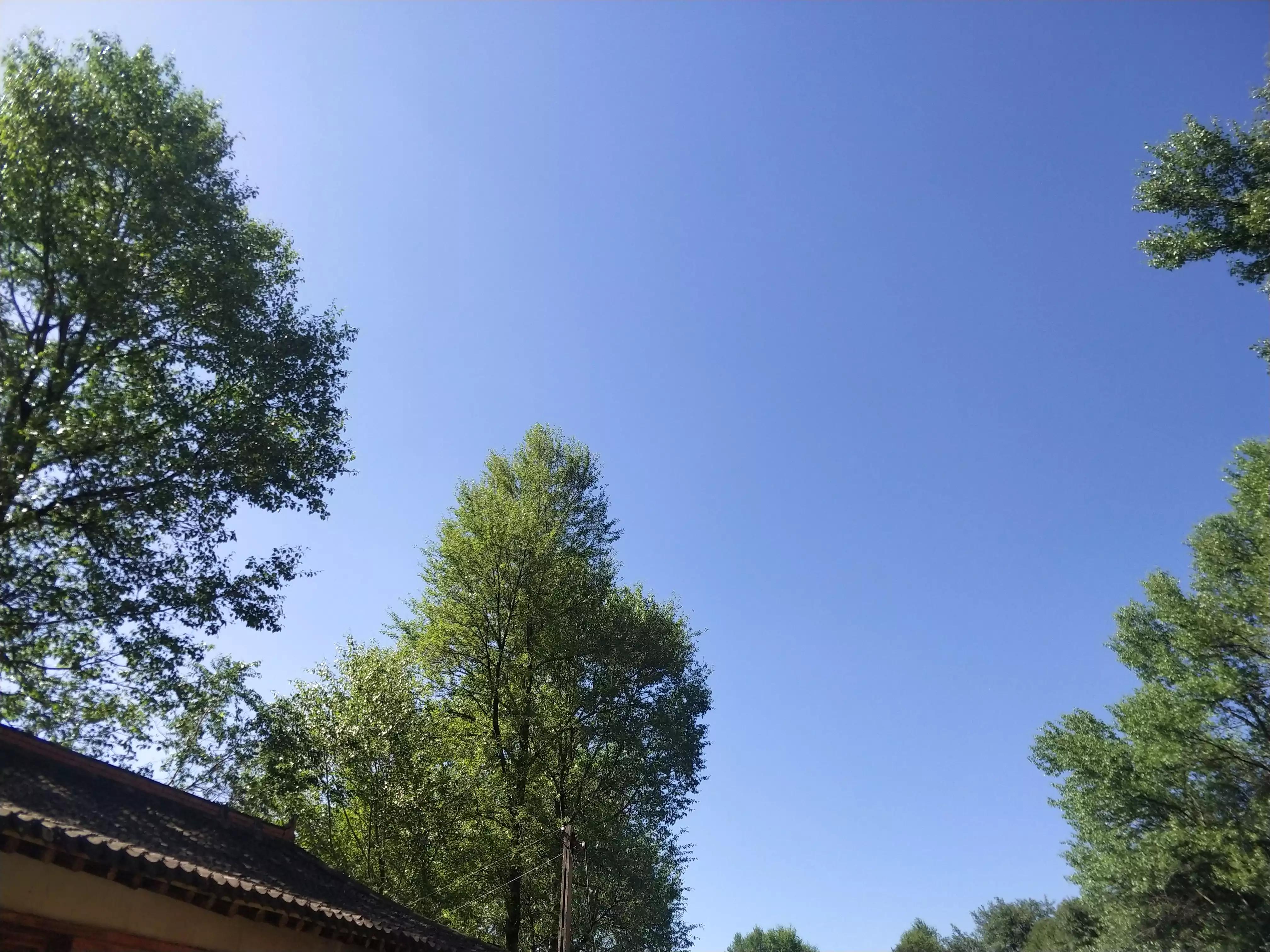 古镇|退休了,什么旅游方式最好?