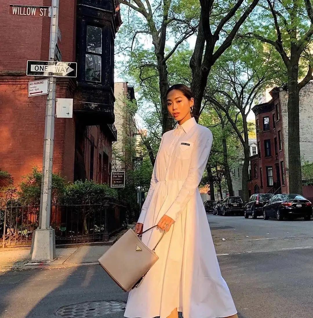 生肖|女白领的优雅职场风