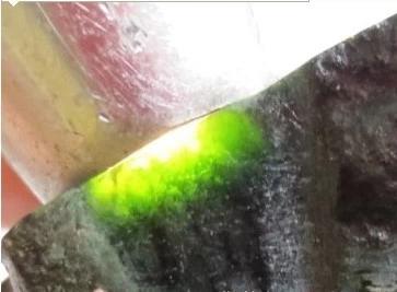 翡翠|13种翡翠原石灯下现原形