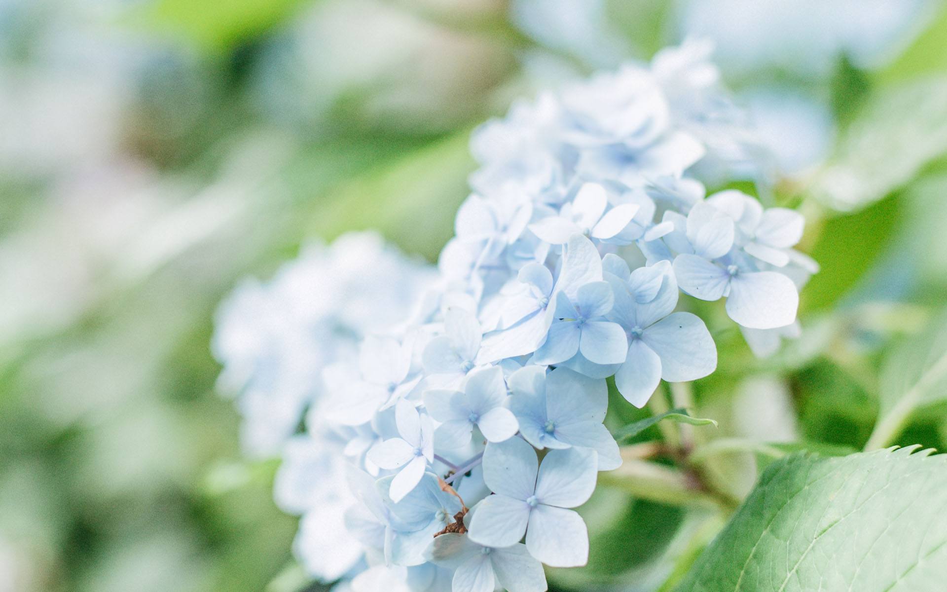 双鱼座|9 月 26 号到 10 月 2 号 12 星座一周的整体运势（二）