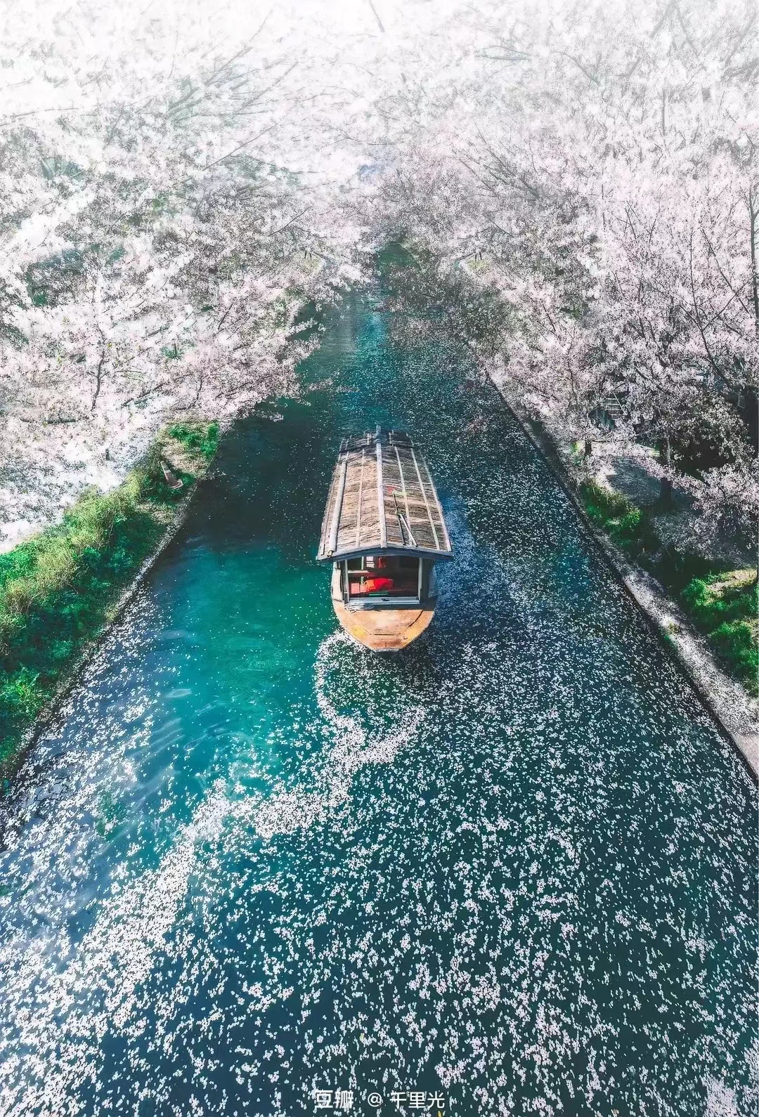 求职|离开体质后,开始找工作的 我