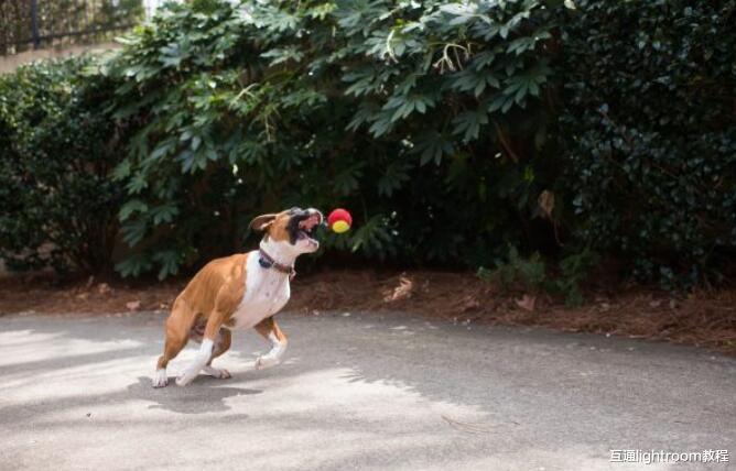 摄影初学者构图中常见的8个错误,避免了才能拍出好照片!