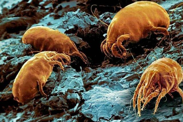 看了日本人的“家务思路”发现,添置这些物品,不勤快家里也干净