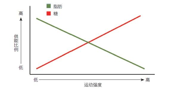 护肤品 运动小常识 | 跑步减肥必须要40分钟以上才有效果吗？