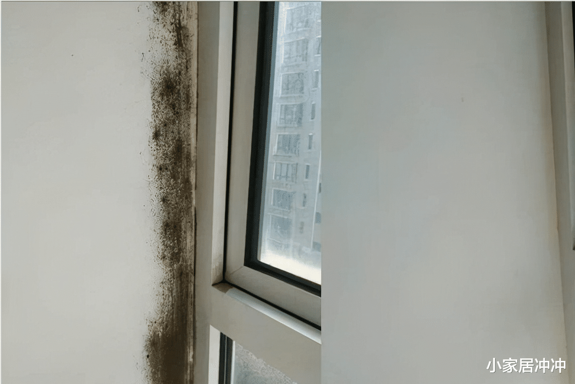 盘点3个贴心的家居小物件,本以为是“鸡肋”,用后却离不开了