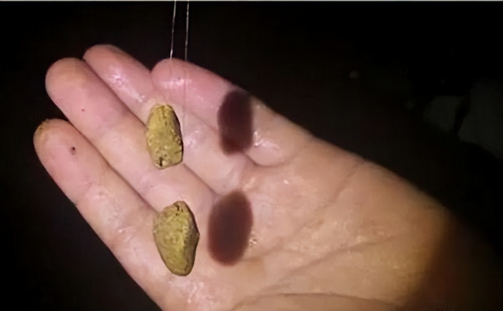 安徽|夜钓一整晚没钓住几条鱼，用上这四个小技巧，很可能渔获翻番