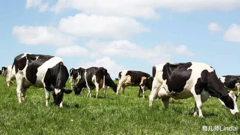 求职|女子找工作面试时隐瞒自己怀孕，入职三天后流产，也被公司开除