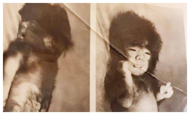 于震寰|“毛孩”于震寰浑身是毛,被投资1000万包装,41岁迎娶90后娇妻