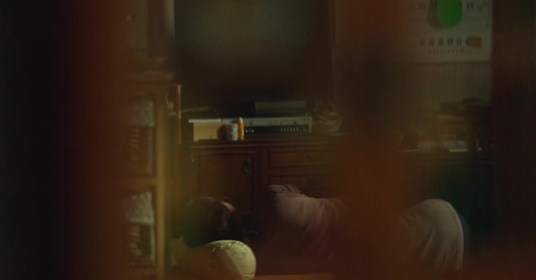 西红柿|【我的解放日志13集】《关于“妈妈”的突然离开》