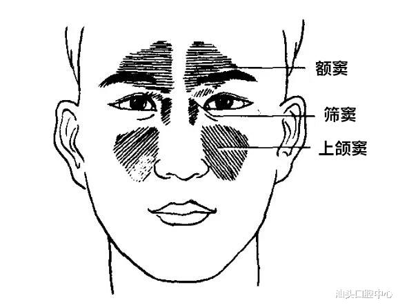穿孔|拔牙后上颌窦穿孔?上颌窦瘘修补术了解一下