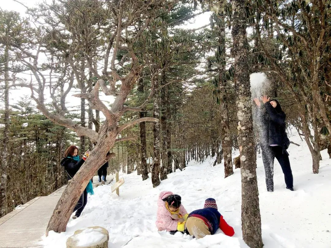 温泉|【元旦特辑】奔赴螺髻雪山冰雪之旅