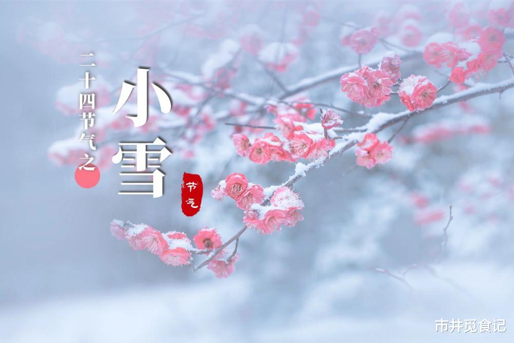 今日小雪，不管有钱没钱，别忘了吃2种“植物肉”，增营养过寒冬