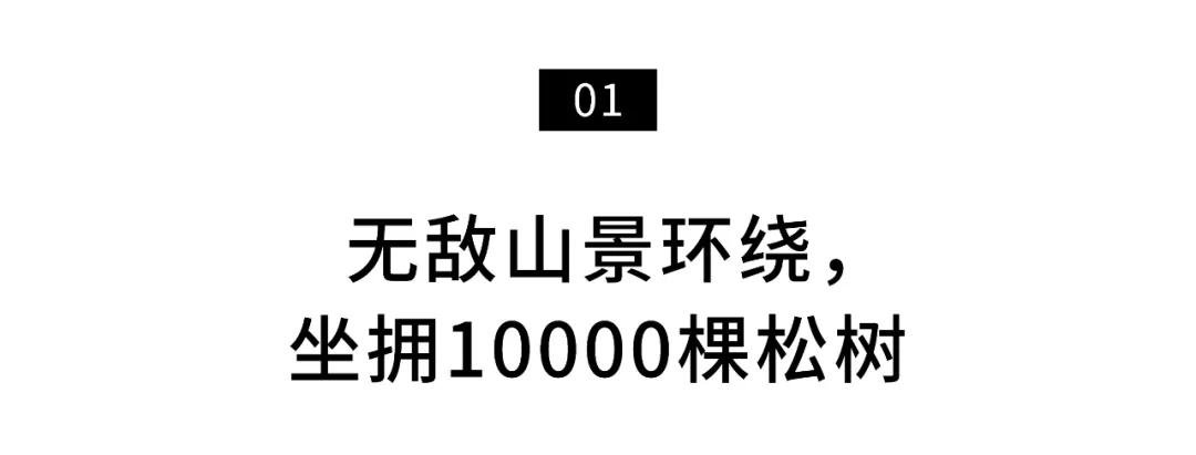 北京市|北京夫妻的12年极简人生：房子素极了，却美到让人羡慕