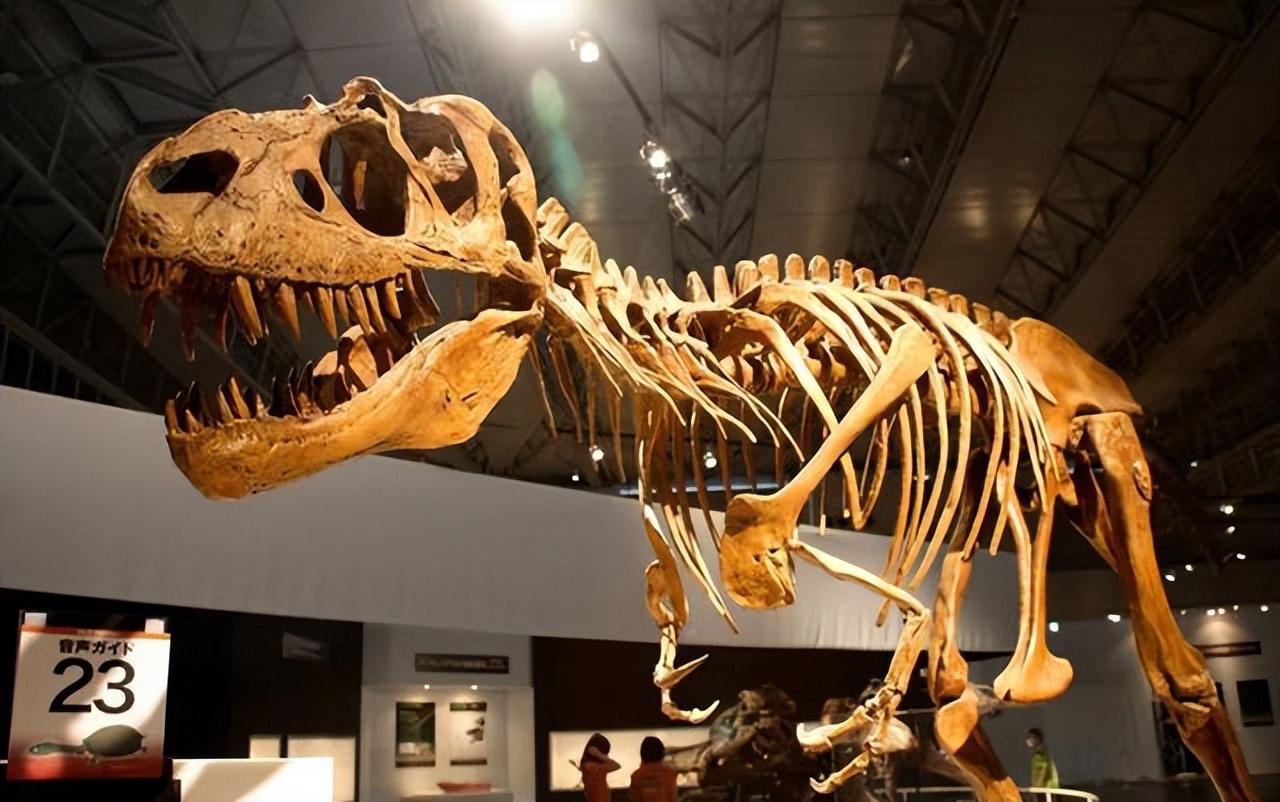 3.6万年前的远古生物味道如何?科学家出于好奇,大胆尝了一块