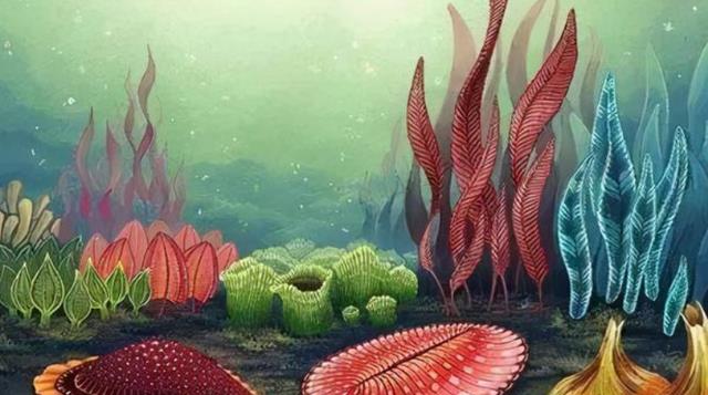 远古竟有无头、无口、无四肢的生物?走向深渊的埃迪卡拉生物群!