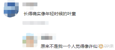 刘诗诗|35岁刘诗诗参加线下活动，生图被指撞脸“许仙”，网友：不如网红