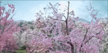 杨洋|行行好,别T娘的三天两头糟践人了