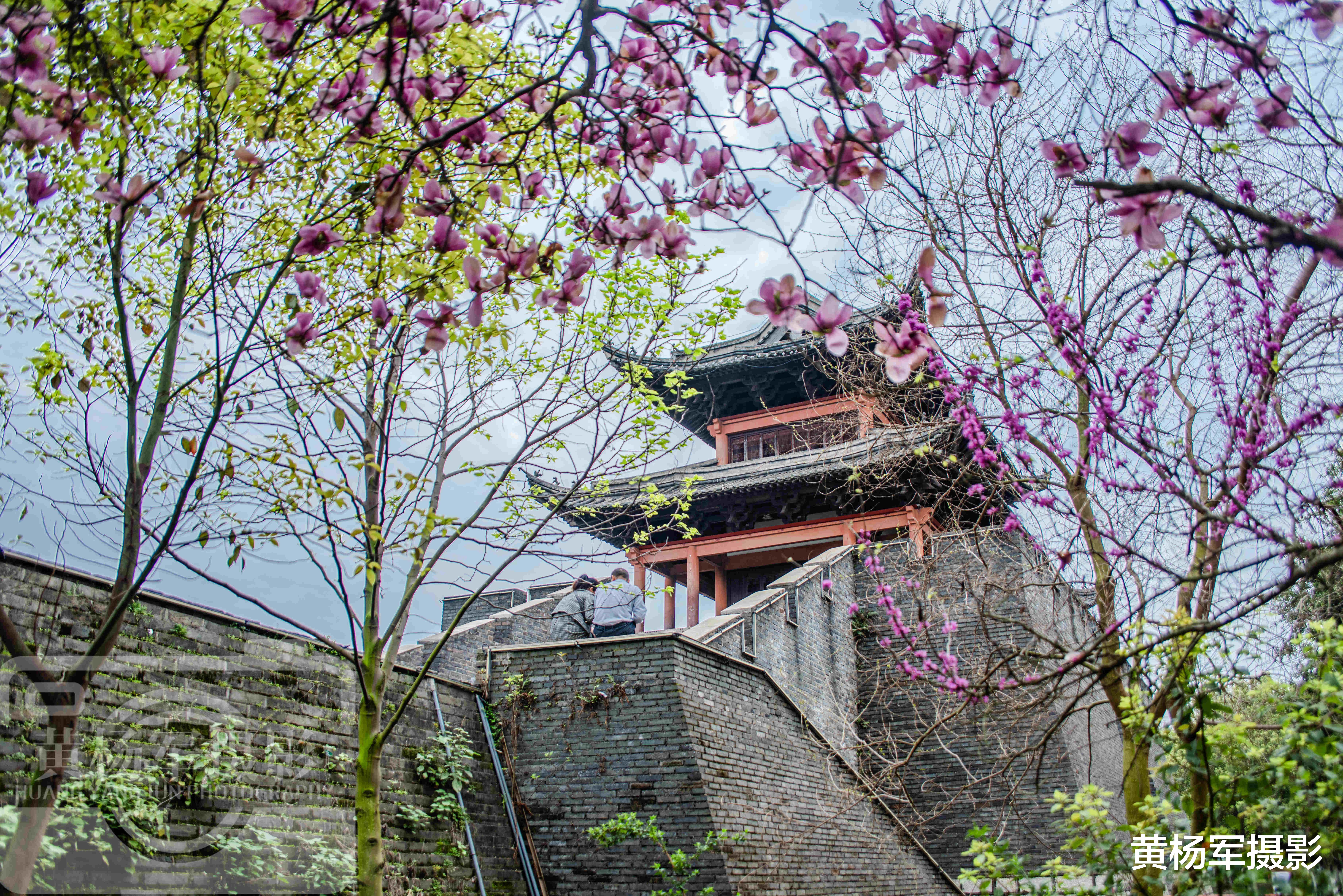 宋城|中国最低调的滨水城市，被誉为“宋城博物馆”，春三月繁花开景美
