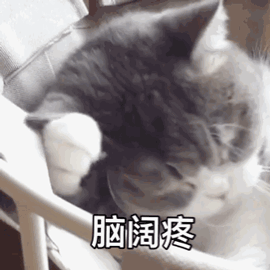 洛阳人挺住!高温+冰雹+雷阵雨+雷暴大风!天气太“刺激”了!