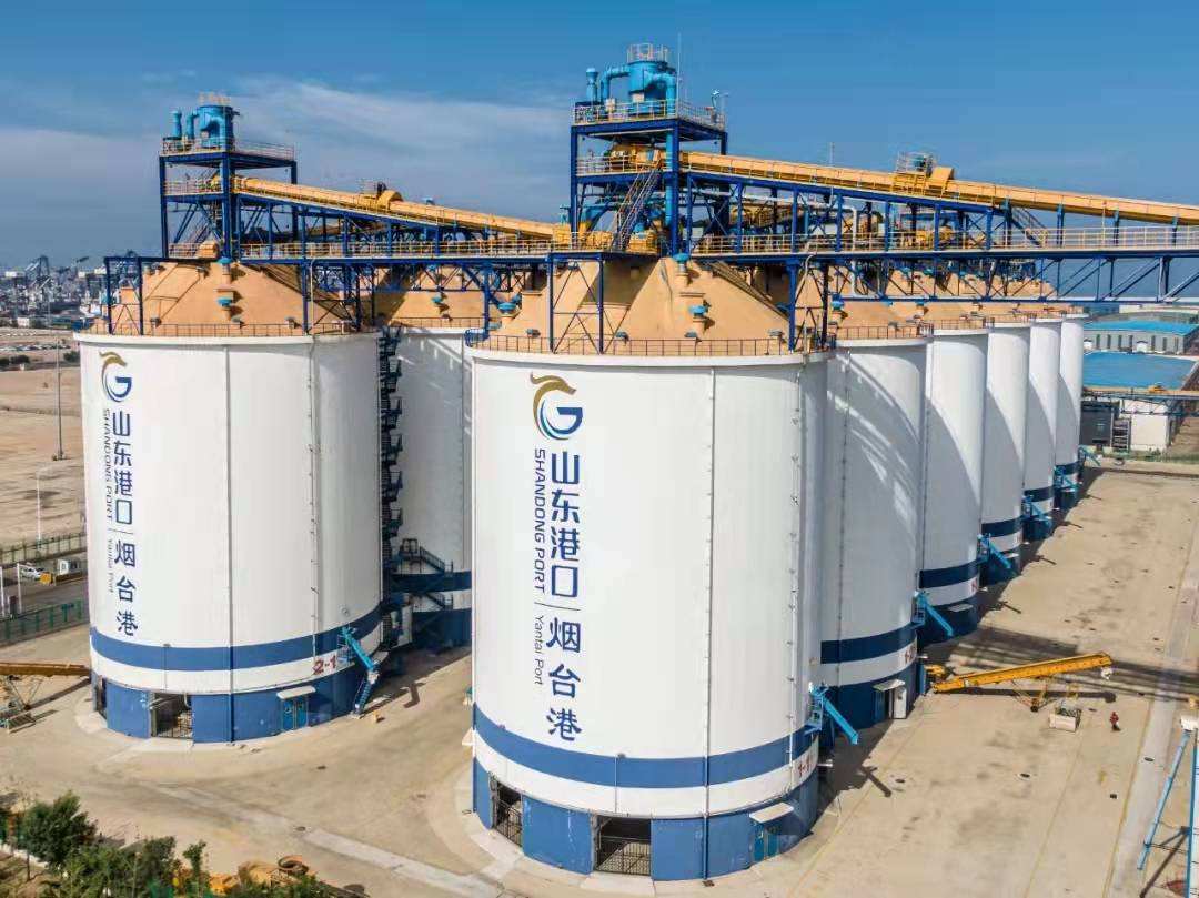 中央粮库400万吨粮食被盗!真相使农民颤抖,到底隐藏了什么猫腻
