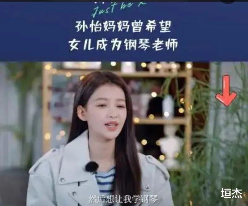 孙怡|董子健孙怡离完婚也才28岁,大家都有光明的未来