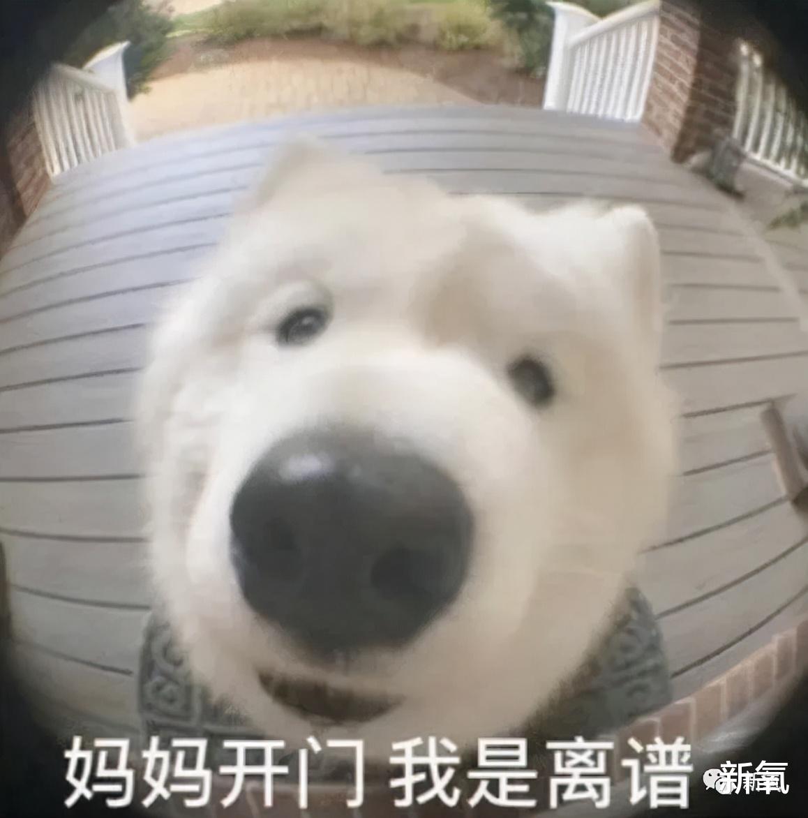 娱乐圈|泰国娱乐圈的迷之审美，她的副业只配出现在夜里？