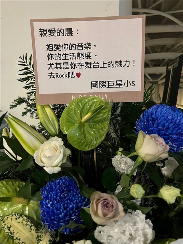 大S|大S公开支持台独艺人，S妈问题言论也被曝光