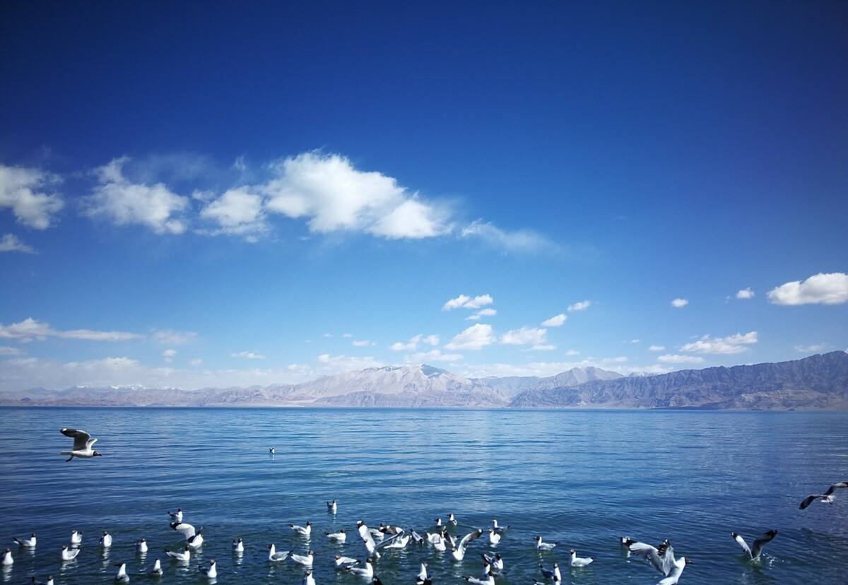 |我国很清澈的湖泊，呈东西走向，是鸟类的天堂