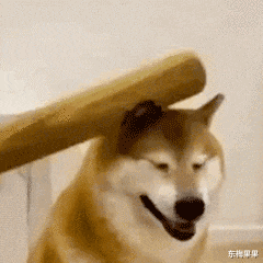 邓紫棋|瞒不住了，她也要被封杀了？！