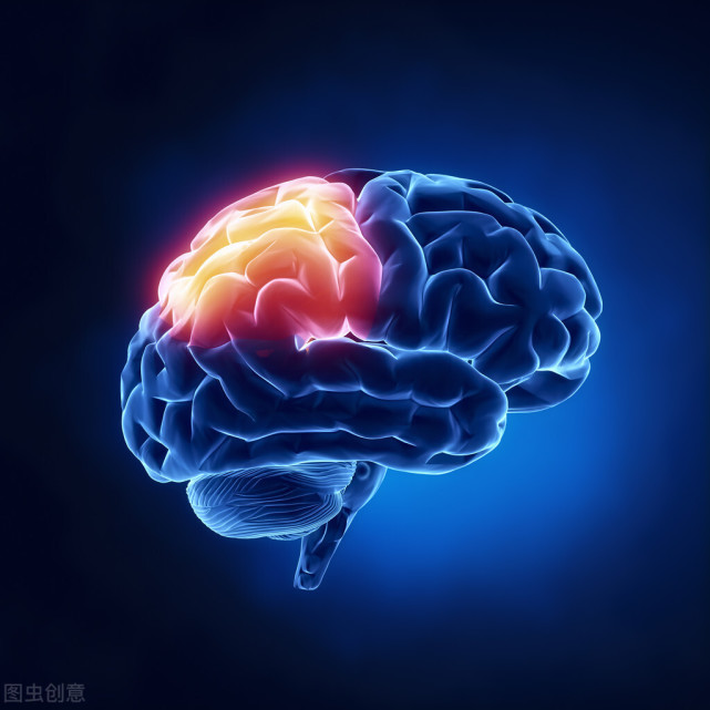 揭秘记忆的本质,记忆是如何形成的?如何让记忆能力不快速衰退?