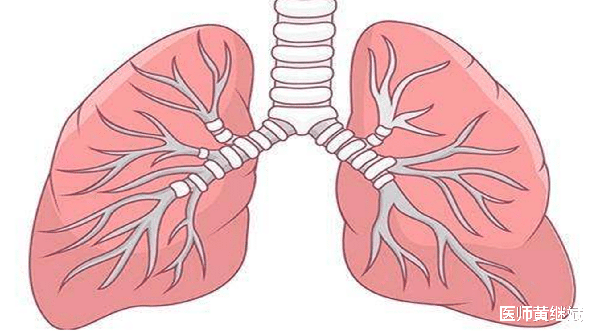 黄帝内经|体内痰多怎么办?中医手把手教你,如何把痰化