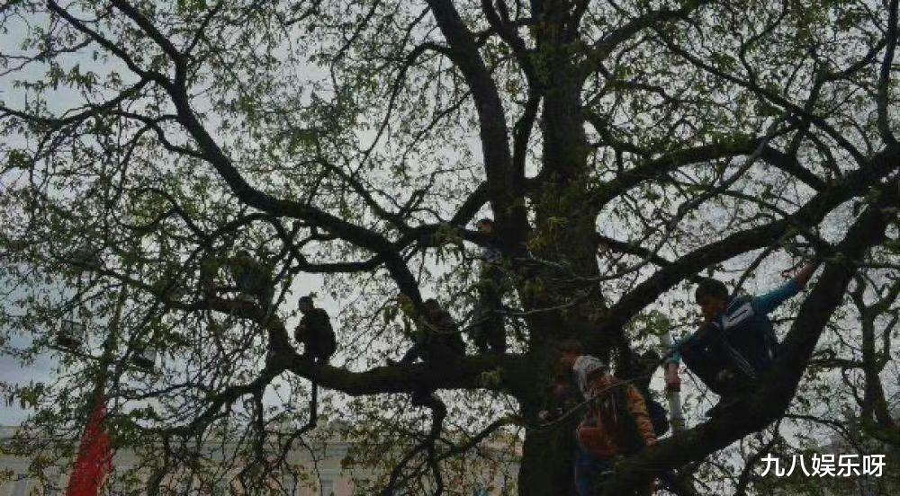 杨紫|杨紫新剧值得期待,男演员古装造型内卷,代拍堪称“拼命三郎”