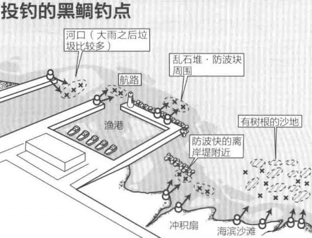控制器|鱼中之王真鲷黑鲷钓法必须了解自由控制钓法及其钓组钓饵钓点钓时