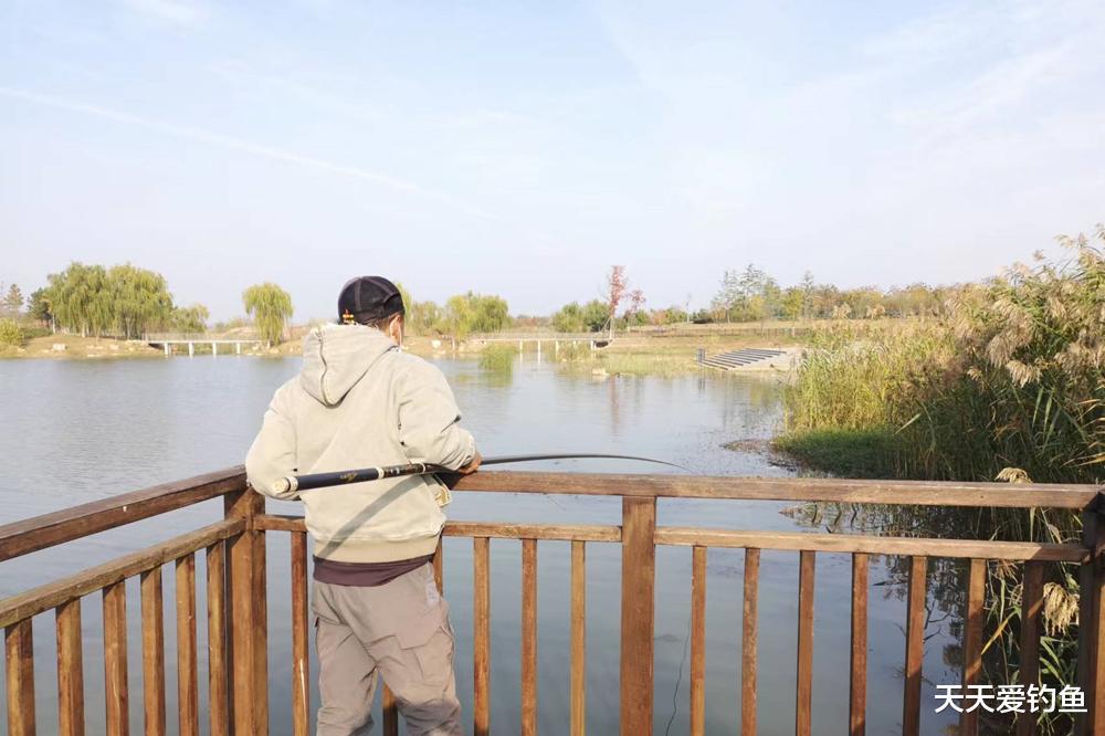 鲫鱼|寒冬野钓大鲫鱼，最有效的2种民间钓法，方法很土效果一流