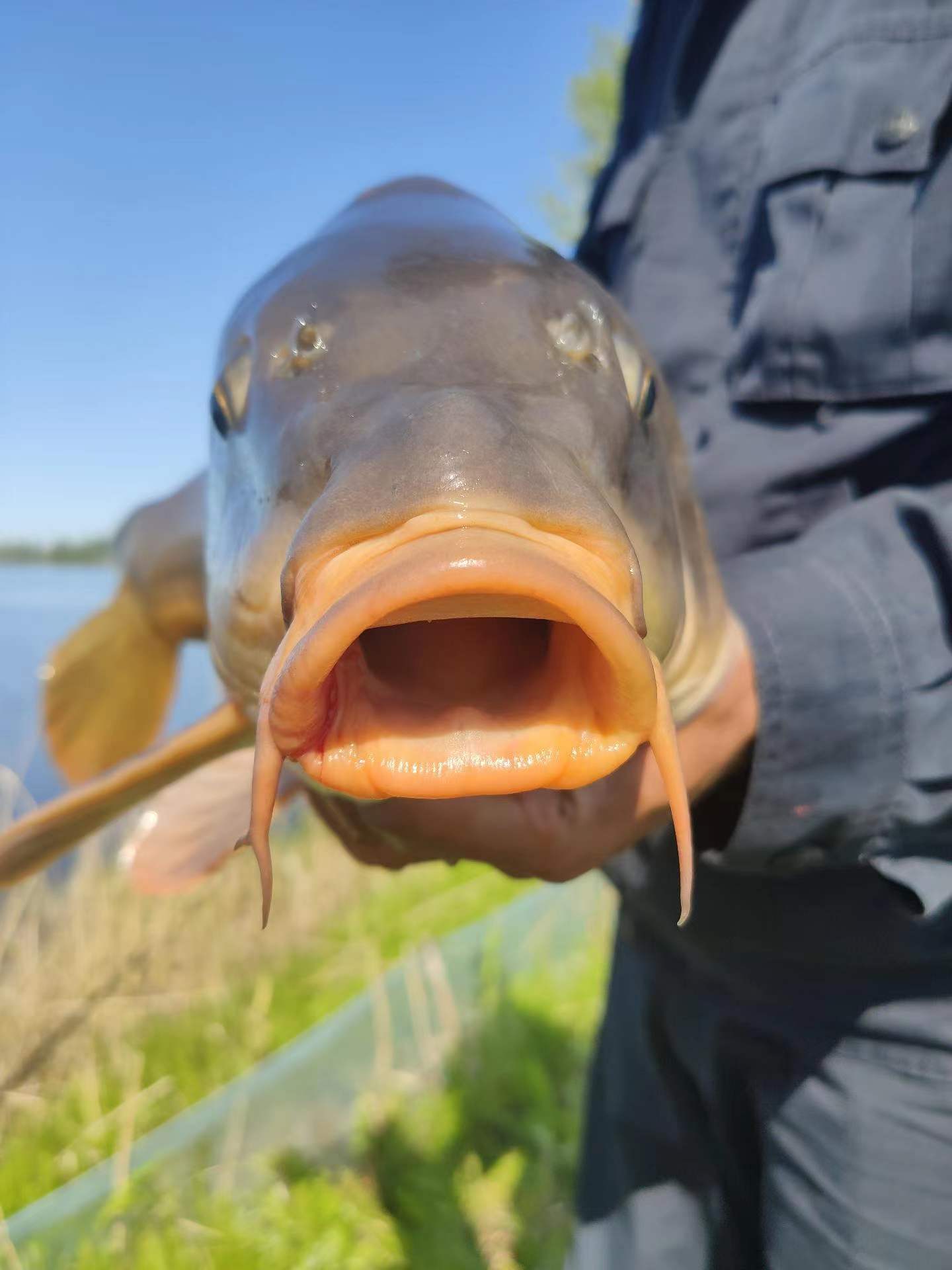 |老钓鱼人都知道的四种漂相，建议收藏