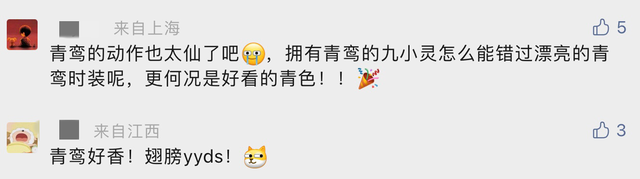 山海经|神鸟、巴蛇,《山海经》被全面改成人型时装,这样的形态美翻了