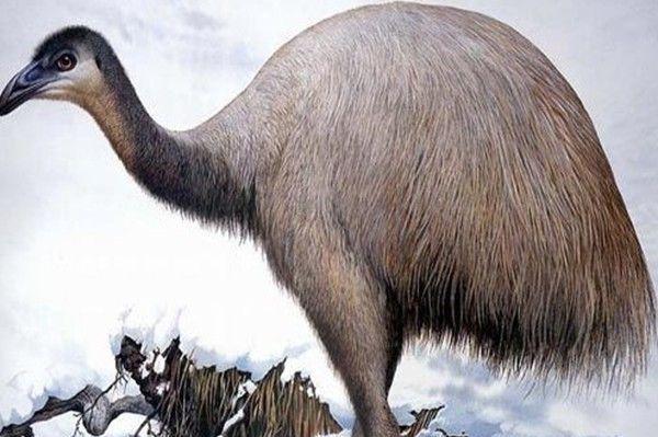 30万年前有9个人种,最后只剩下了我们,消灭他们的“凶手”是谁