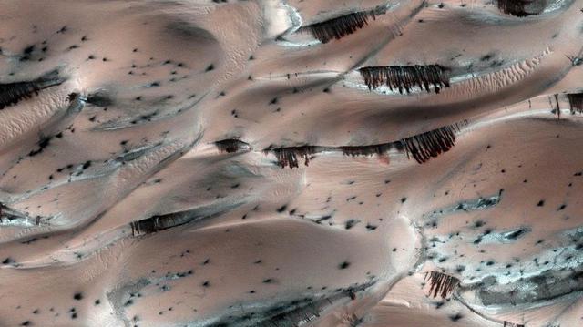 火星上发现了灌木丛?看起来诡异却真实,NASA:确实是MRO拍摄