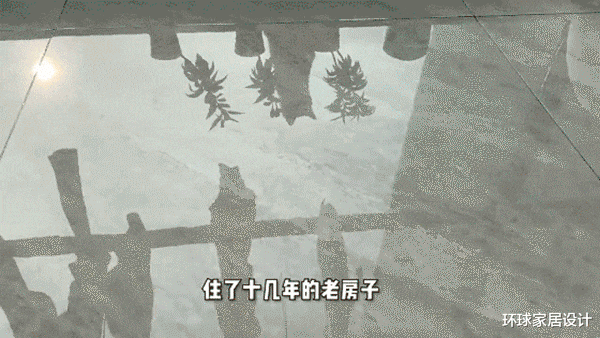 屋子里全是“灰尘、毛絮”?保姆支了个招,毛絮全消失,真好用!