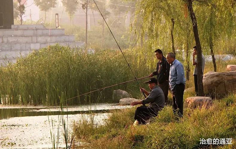 饵料|钓鱼如何留窝聚鱼？做好这五点，才能有好的渔获