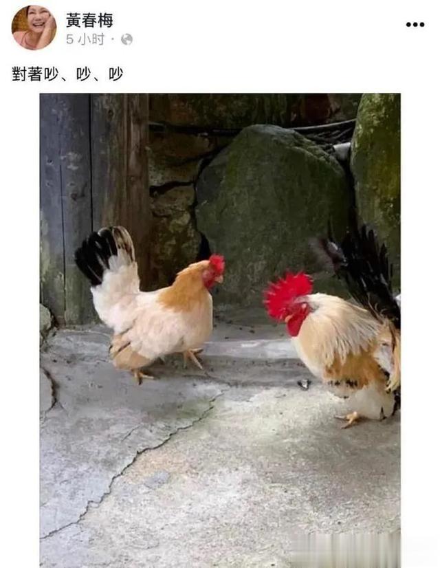 战旗|大S一家可以录个真人秀了，S妈有点搞笑