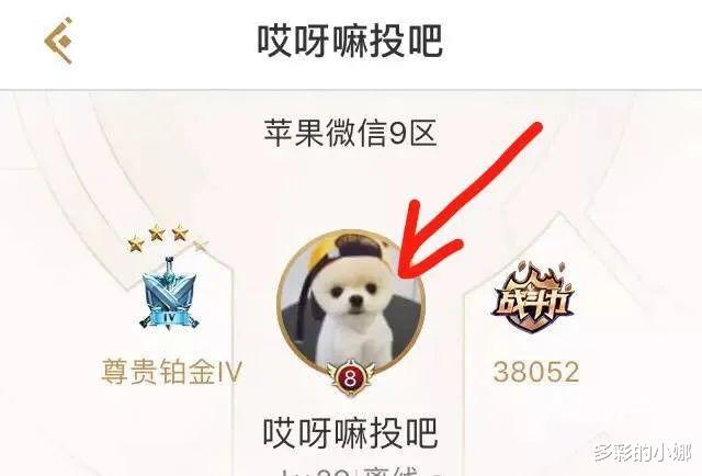 鹿晗|他俩不结婚,真的很难收场!