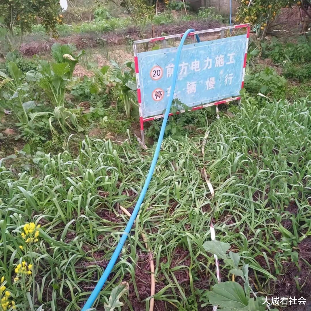 讹诈?广东一老板施工时踩到菜地,村民拿着菜刀阻拦:赔1000元