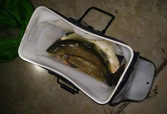 夜钓|让我难忘的三次夜钓经历,晚上钓鱼最好结伴而行,有事能互相照应