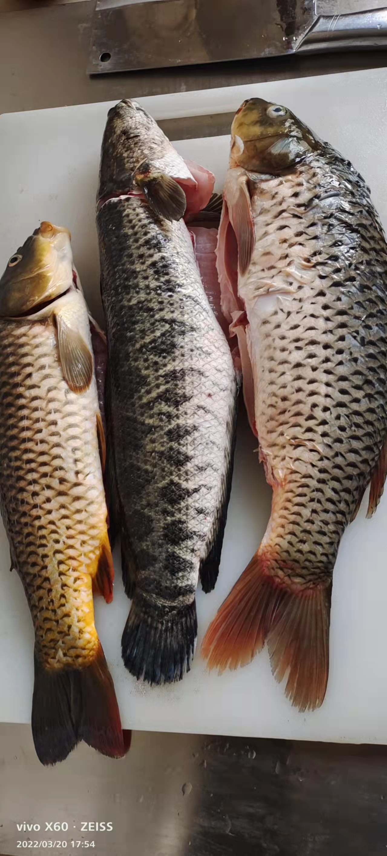 |做梦梦到自己钓到很多的鱼有什么很好的启示吗？