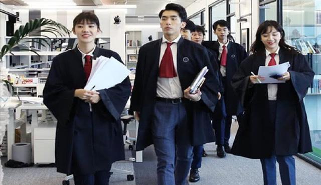 职场观察类综艺的解读,便于更好了解景观的含义,从而掌握本质