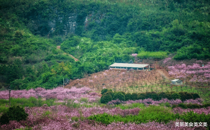 警察|美丽的山村，景色太迷人！