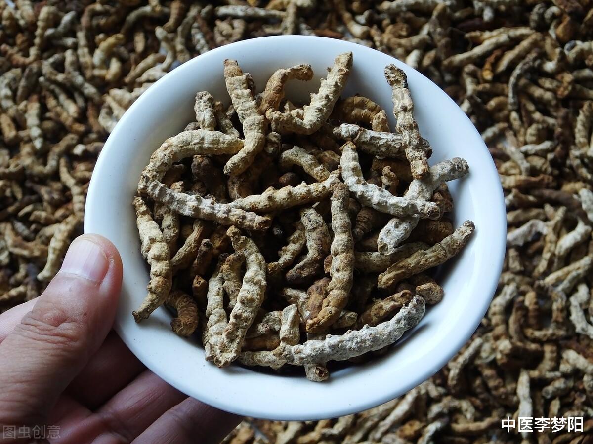 胆囊息肉|肠息肉、胃息肉、胆囊息肉怎么办？四味中药，化结散瘀，收息肉